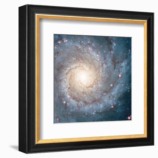 NASA - Spiral Galaxy M74-null-Framed Premium Giclee Print