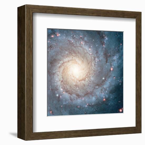 NASA - Spiral Galaxy M74-null-Framed Premium Giclee Print