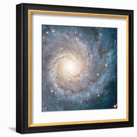 NASA - Spiral Galaxy M74-null-Framed Art Print