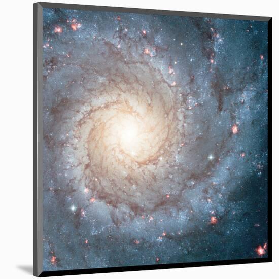 NASA - Spiral Galaxy M74-null-Mounted Art Print