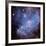 NASA - Stars Magellanic Cloud-null-Framed Premium Giclee Print