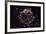 NASA - Supernova Remnant Cassiopeia A-null-Framed Art Print