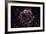 NASA - Supernova Remnant Cassiopeia A-null-Framed Art Print