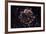 NASA - Supernova Remnant Cassiopeia A-null-Framed Art Print