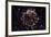 NASA - Supernova Remnant Cassiopeia A-null-Framed Art Print