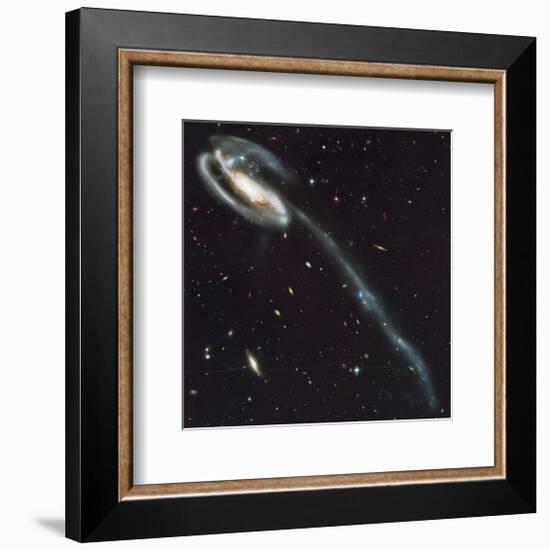 NASA - Tadpole Galaxy-null-Framed Premium Giclee Print