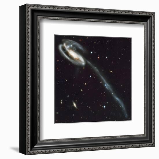 NASA - Tadpole Galaxy-null-Framed Premium Giclee Print