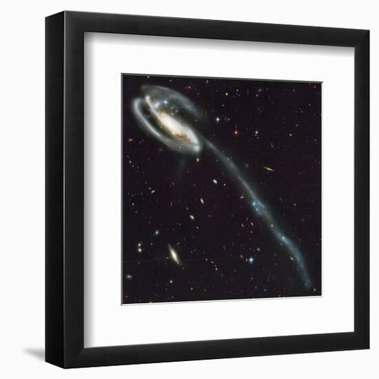 NASA - Tadpole Galaxy-null-Framed Premium Giclee Print