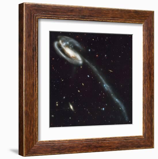 NASA - Tadpole Galaxy-null-Framed Art Print