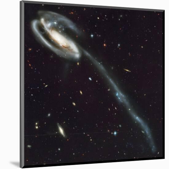 NASA - Tadpole Galaxy-null-Mounted Art Print