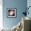 NASA - The Dusty Galaxy NGC 1316-null-Framed Art Print displayed on a wall