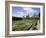Nash House Gardens, Stratford-Upon-Avon, Warwickshire, England, UK, Europe-Philip Craven-Framed Photographic Print