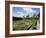 Nash House Gardens, Stratford-Upon-Avon, Warwickshire, England, UK, Europe-Philip Craven-Framed Photographic Print