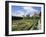 Nash House Gardens, Stratford-Upon-Avon, Warwickshire, England, UK, Europe-Philip Craven-Framed Photographic Print