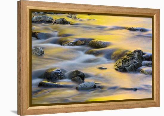 Nash Stream in Reddington Township, Maine. High Peaks Region. Fall-Jerry and Marcy Monkman-Framed Premier Image Canvas