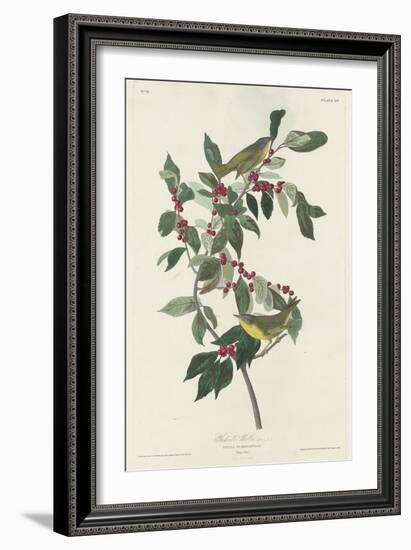 Nashville Warbler, 1830-John James Audubon-Framed Giclee Print