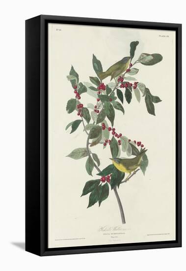 Nashville Warbler, 1830-John James Audubon-Framed Premier Image Canvas