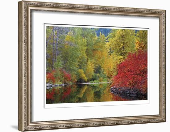 Nason Creek I-Donald Paulson-Framed Giclee Print