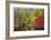 Nason Creek I-Donald Paulson-Framed Giclee Print