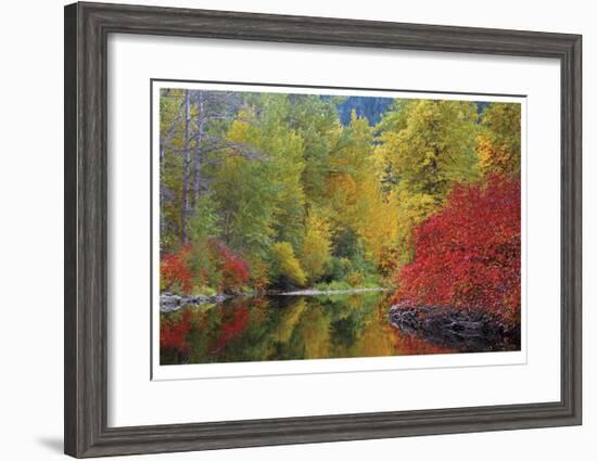 Nason Creek I-Donald Paulson-Framed Giclee Print