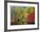 Nason Creek I-Donald Paulson-Framed Giclee Print