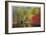 Nason Creek I-Donald Paulson-Framed Giclee Print