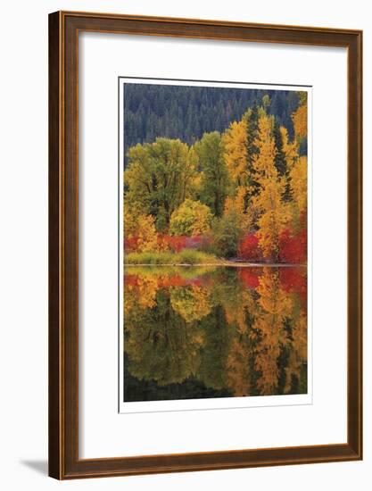 Nason Creek III-Donald Paulson-Framed Giclee Print