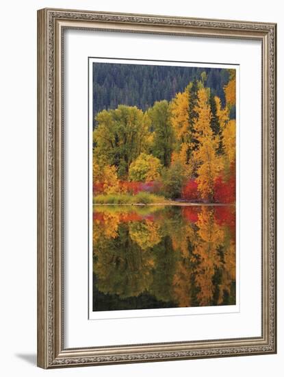 Nason Creek III-Donald Paulson-Framed Giclee Print