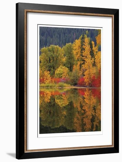 Nason Creek III-Donald Paulson-Framed Giclee Print