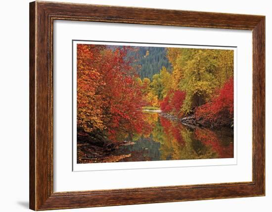 Nason Creek IV-Donald Paulson-Framed Giclee Print