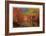 Nason Creek IV-Donald Paulson-Framed Giclee Print