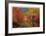 Nason Creek IV-Donald Paulson-Framed Giclee Print