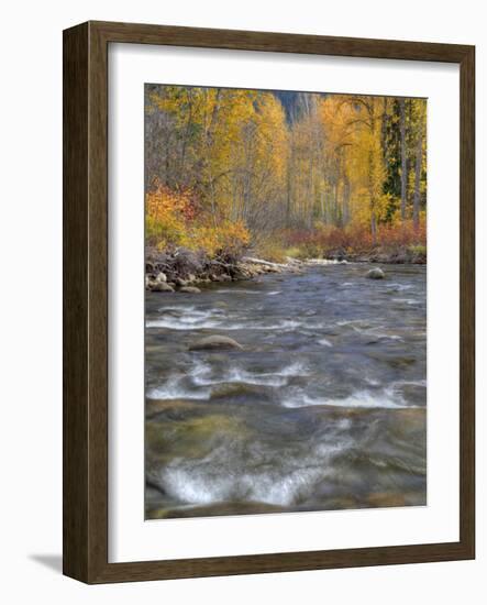 Nason Creek, Wenatchee National Forest, Washington, Usa-Jamie & Judy Wild-Framed Photographic Print