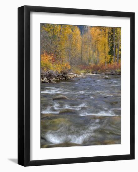 Nason Creek, Wenatchee National Forest, Washington, Usa-Jamie & Judy Wild-Framed Photographic Print