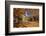 Nassau Hall At Fall, Princeton University-George Oze-Framed Photographic Print