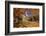 Nassau Hall At Fall, Princeton University-George Oze-Framed Photographic Print