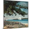 Nassau: Wasser und Segelboot (Nassau: Water and Sailboat). 1899-Winslow Homer-Mounted Giclee Print