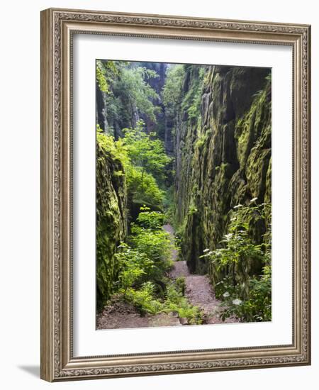 Nasse Schlucht at Kuhstall Cave, Saxon Switzerland, Germany, Saxony-Martin Zwick-Framed Photographic Print