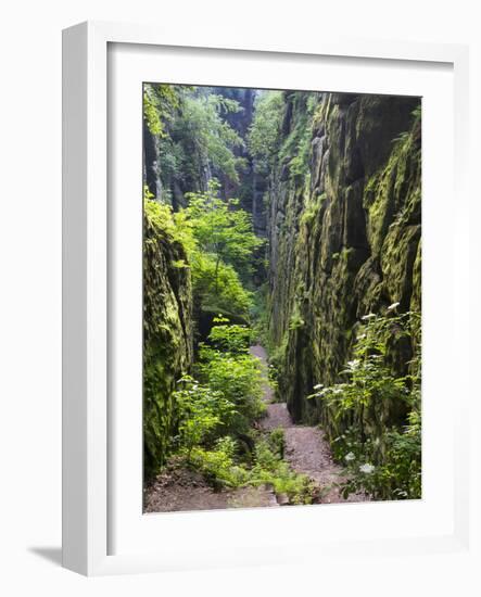 Nasse Schlucht at Kuhstall Cave, Saxon Switzerland, Germany, Saxony-Martin Zwick-Framed Photographic Print
