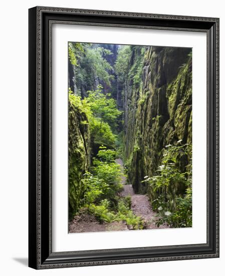 Nasse Schlucht at Kuhstall Cave, Saxon Switzerland, Germany, Saxony-Martin Zwick-Framed Photographic Print