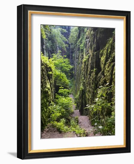 Nasse Schlucht at Kuhstall Cave, Saxon Switzerland, Germany, Saxony-Martin Zwick-Framed Photographic Print