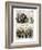 Nast: Tweed Corruption-Thomas Nast-Framed Giclee Print