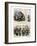 Nast: Tweed Corruption-Thomas Nast-Framed Giclee Print