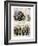 Nast: Tweed Corruption-Thomas Nast-Framed Giclee Print