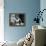 Nastassja Kinski - Cat People-null-Framed Stretched Canvas displayed on a wall