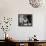 Nastassja Kinski - Cat People-null-Framed Stretched Canvas displayed on a wall