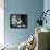 Nastassja Kinski - Cat People-null-Framed Stretched Canvas displayed on a wall