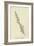 Nasticreechia Krorluppia-Edward Lear-Framed Giclee Print