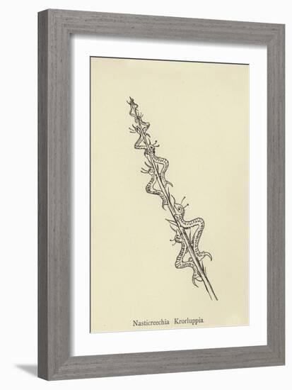 Nasticreechia Krorluppia-Edward Lear-Framed Giclee Print