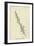 Nasticreechia Krorluppia-Edward Lear-Framed Giclee Print